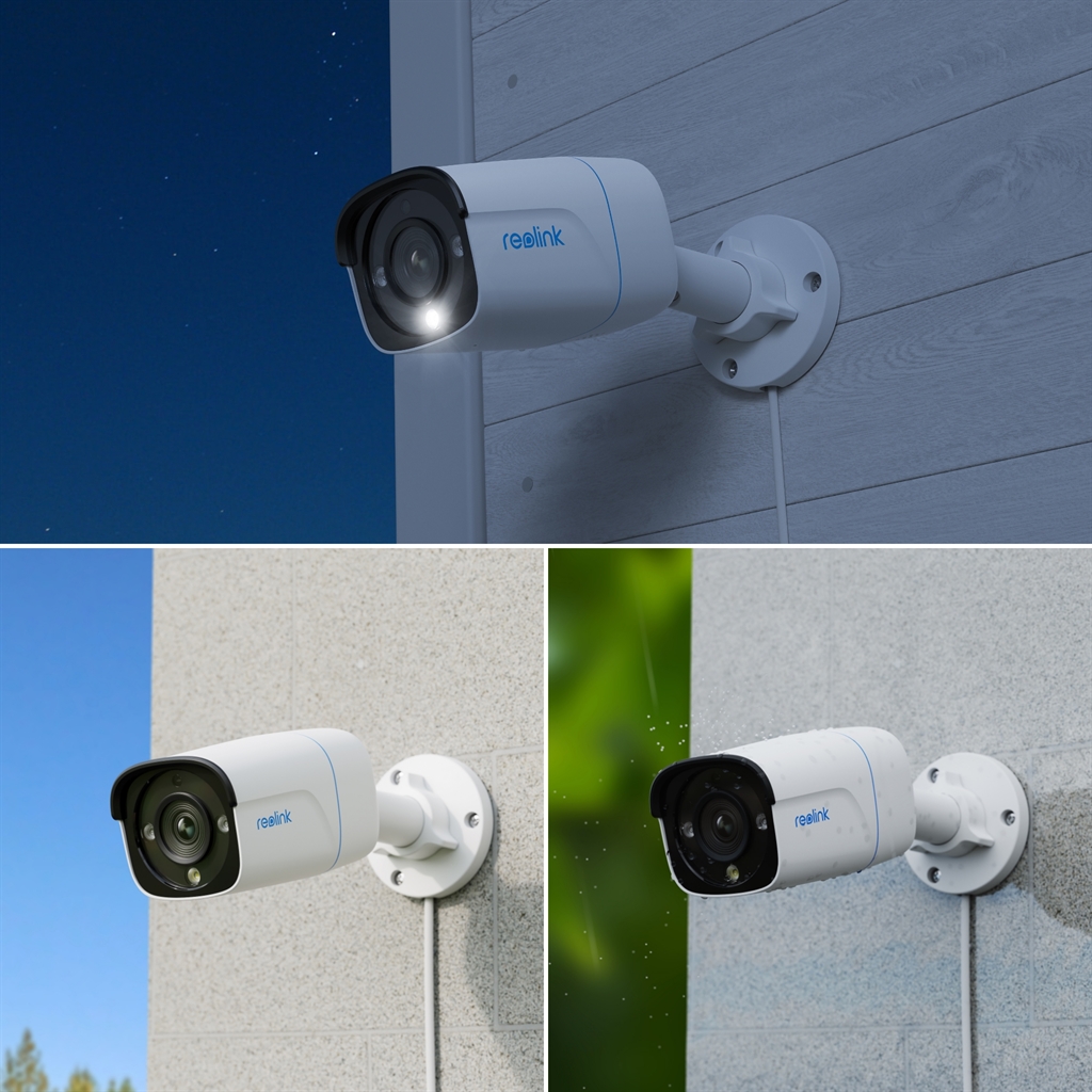 IP-камера Reolink P330 2.8 mm (RLC-810A)