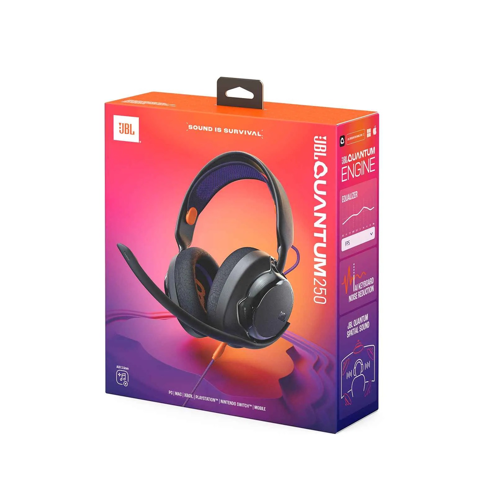 Гарнiтура JBL Quantum 250 Black (JBLQTUM250BLK)