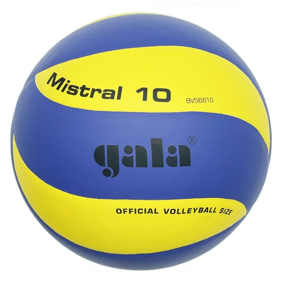 Мяч волейбольный тренировочный Mistral 10 NE-GALA-M10 № 5