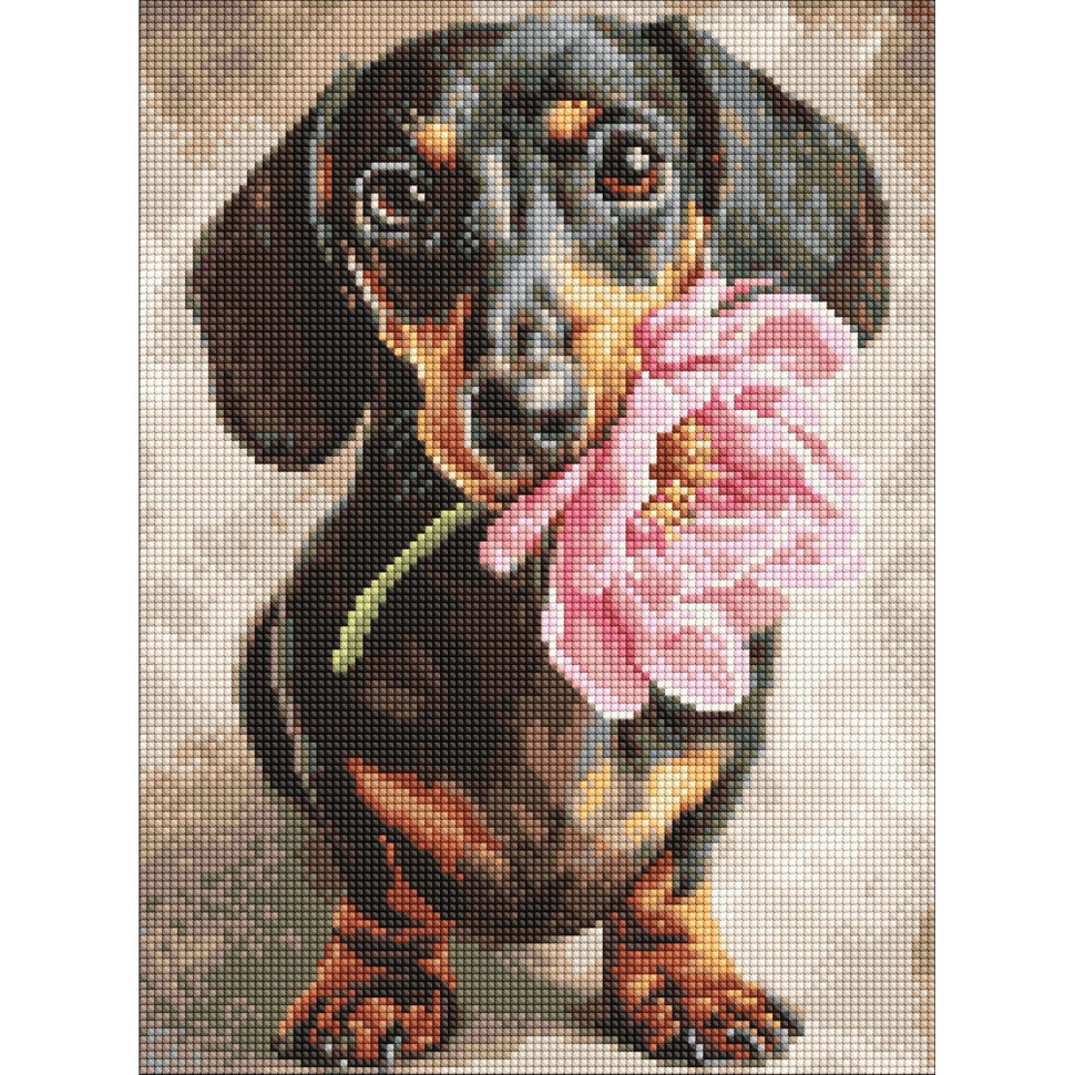 Алмазная мозаика "Песик и сюрприз" ©art_selena_ua AMO20219, 30х40 см