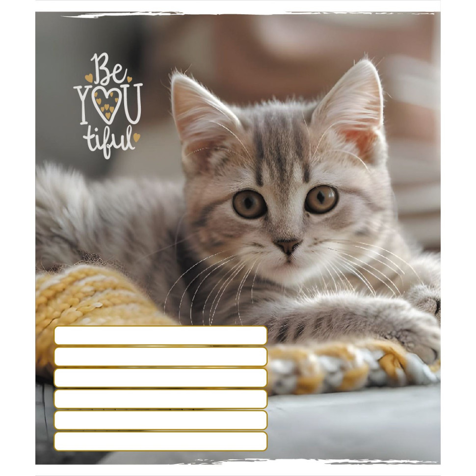 Тетрадь ученическая "Кошка" 012-950515L-2 в линию, 12 листов    