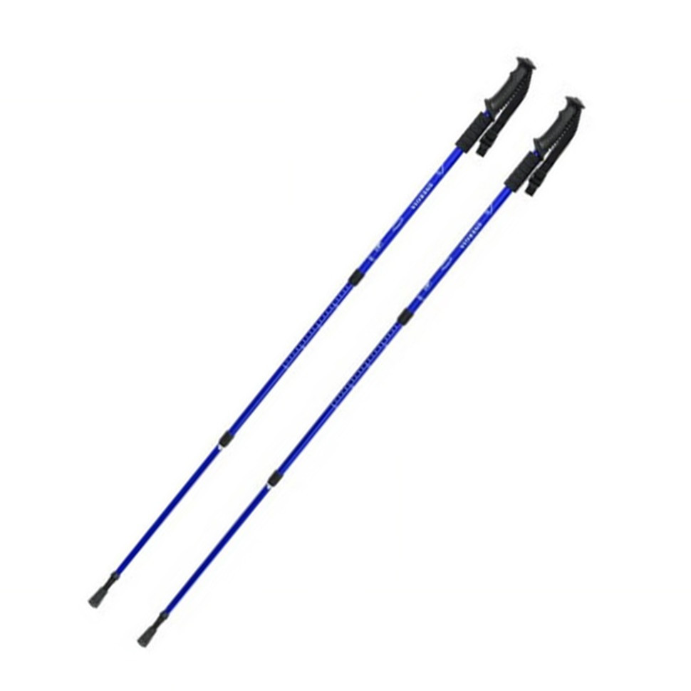 Палка для скандинавской ходьбы Energia EasyFit EF-3924-BL, синяя