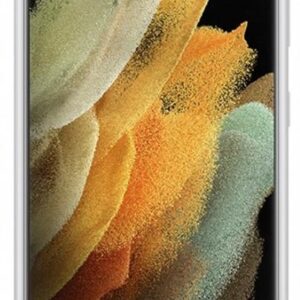 Чохол-накладка Samsung Silicone Cover для Samsung Galaxy S21 Ultra SM-G998 Light Gray (EF-PG998TJEGRU)